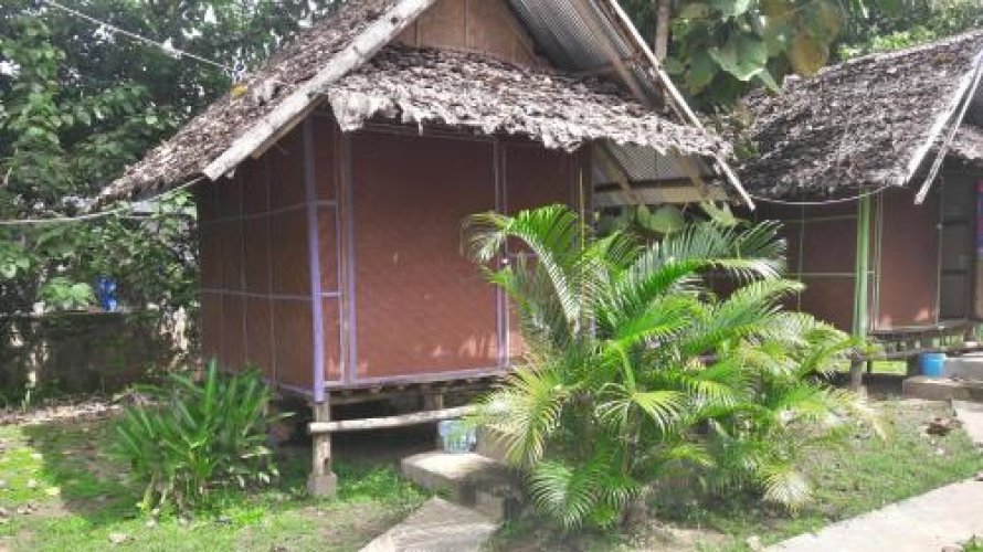 Purple Monkey Backpackers