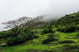 OYO 24261 Ellegance Hill Resort