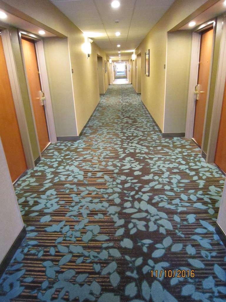 Econo Lodge Inn & Suites Southside