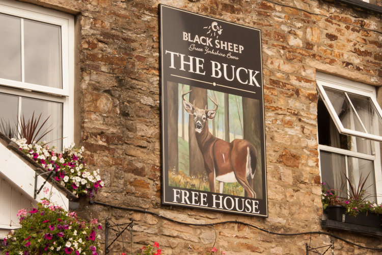 The Buck Hotel