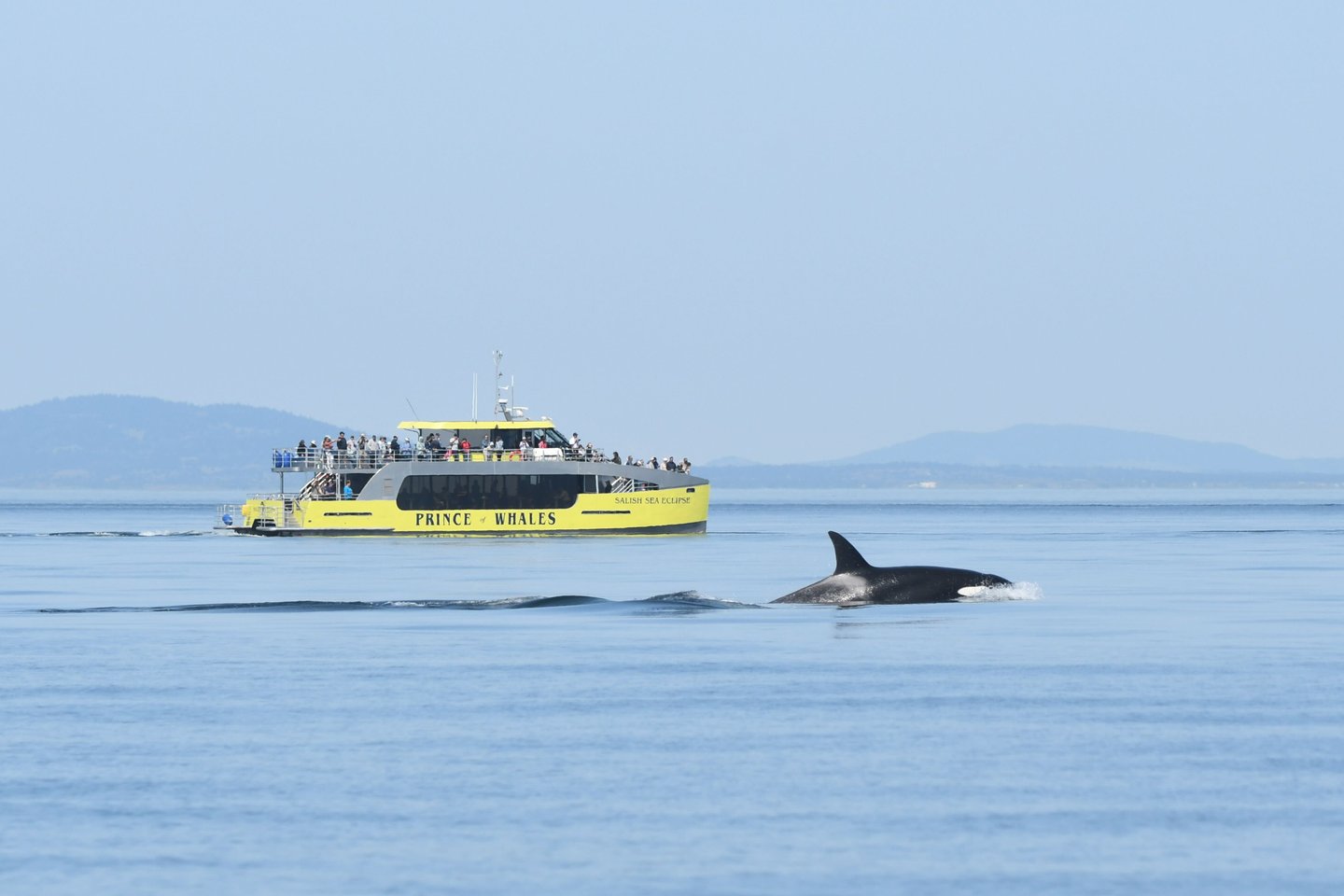 Prince des Baleines Tours Vancouver