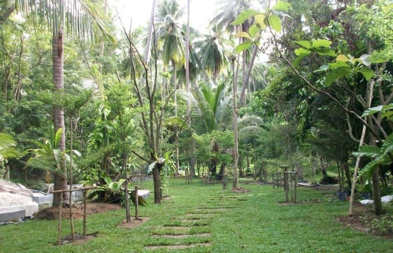 Siva Buri Resort Samui