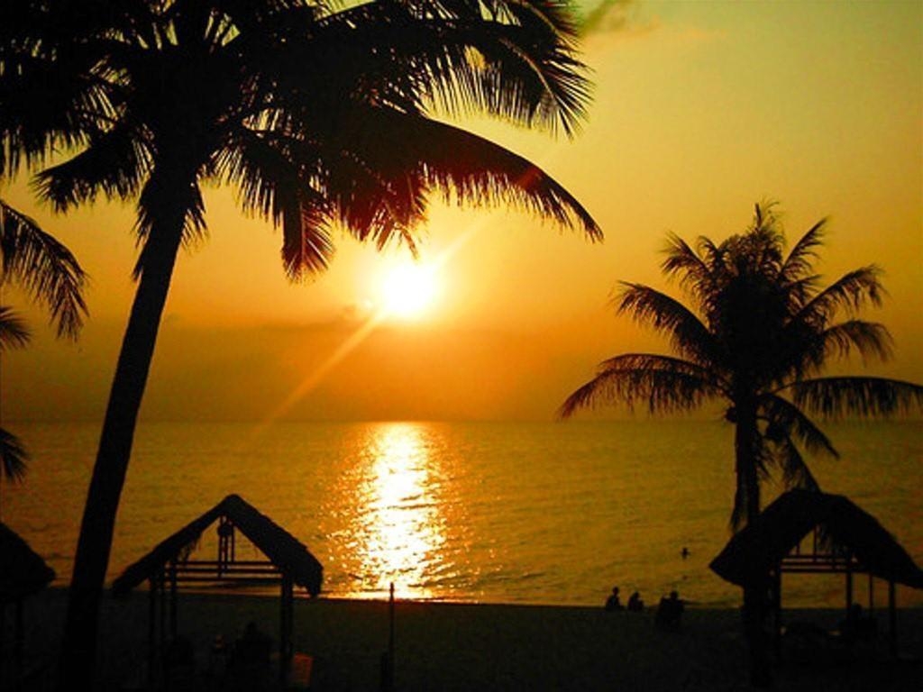 Sea Star Resort