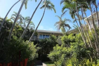 Surfers Del Rey Apartment