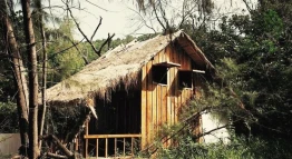 Robinson Bungalows