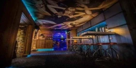 Bar Fibre Gay Bar Leeds Ceiling Mural
