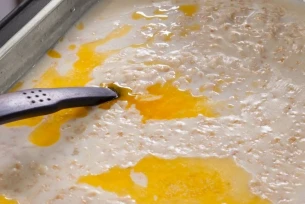 Parus