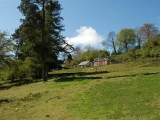 The Old Kennels