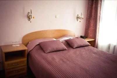 Hotel Lion