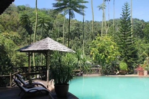 Fig Tree Hill Resort by ZUZU